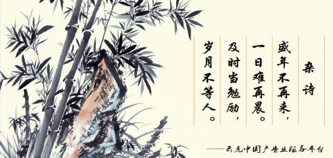 辦公室風(fēng)水?dāng)[件，助你事業(yè)風(fēng)生水起